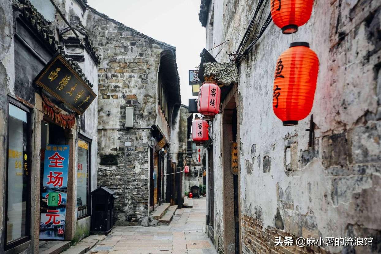 陕西西安:熊猫雪地嬉戏,萌态十足